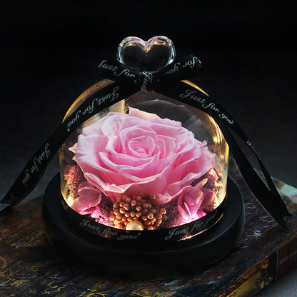 Mother Day Present Dried Flowers